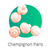 Champignon Paris