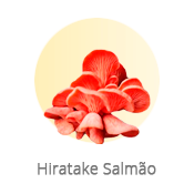 Hiratake Salmão