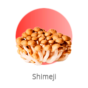 Shimeji