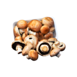 cogumelo-potobello-02