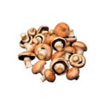 cogumelo-potobello-03