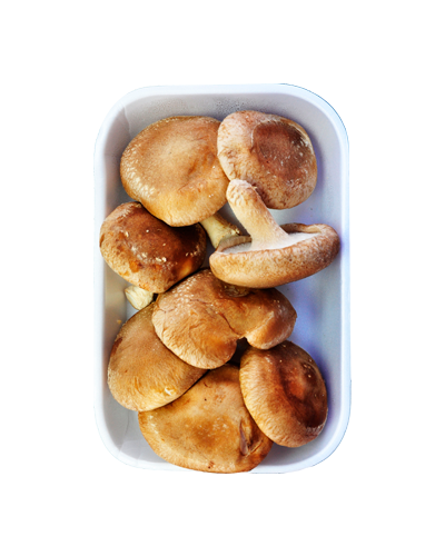 Cogumelo Shiitake 200g - Cogugo